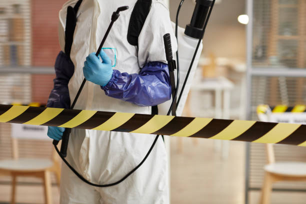 Professional Sewage Cleanup technician working in Republican City, NE